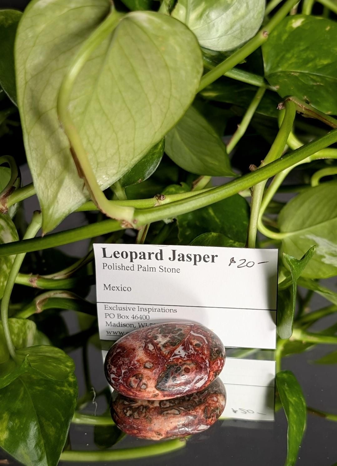 Leopard Jasper