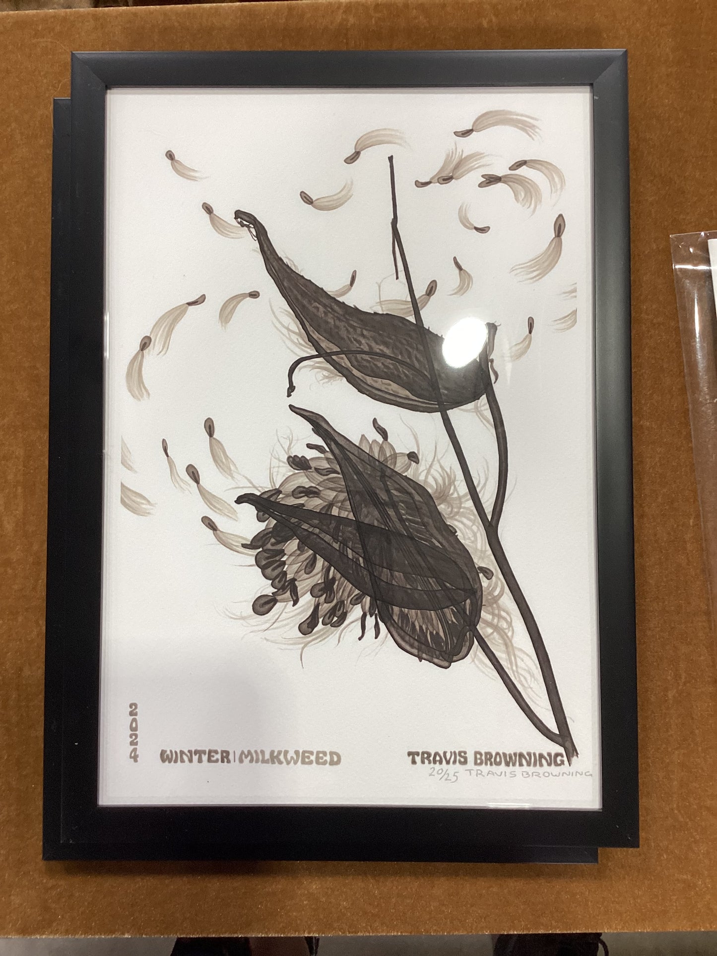 Framed milkweed