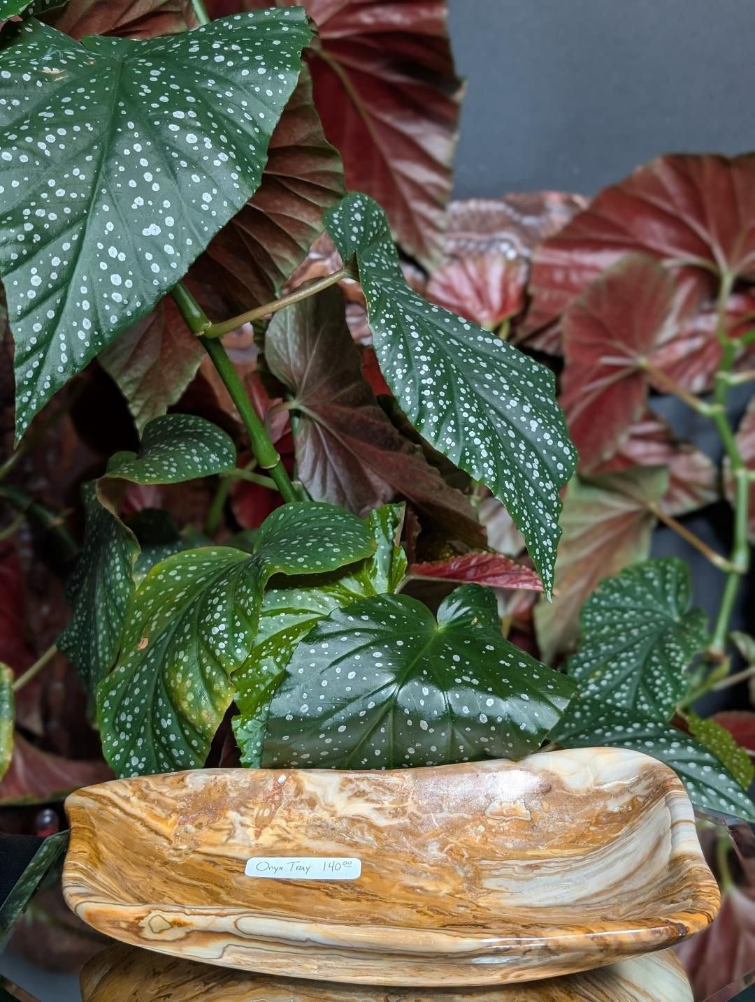 Onyx Tray