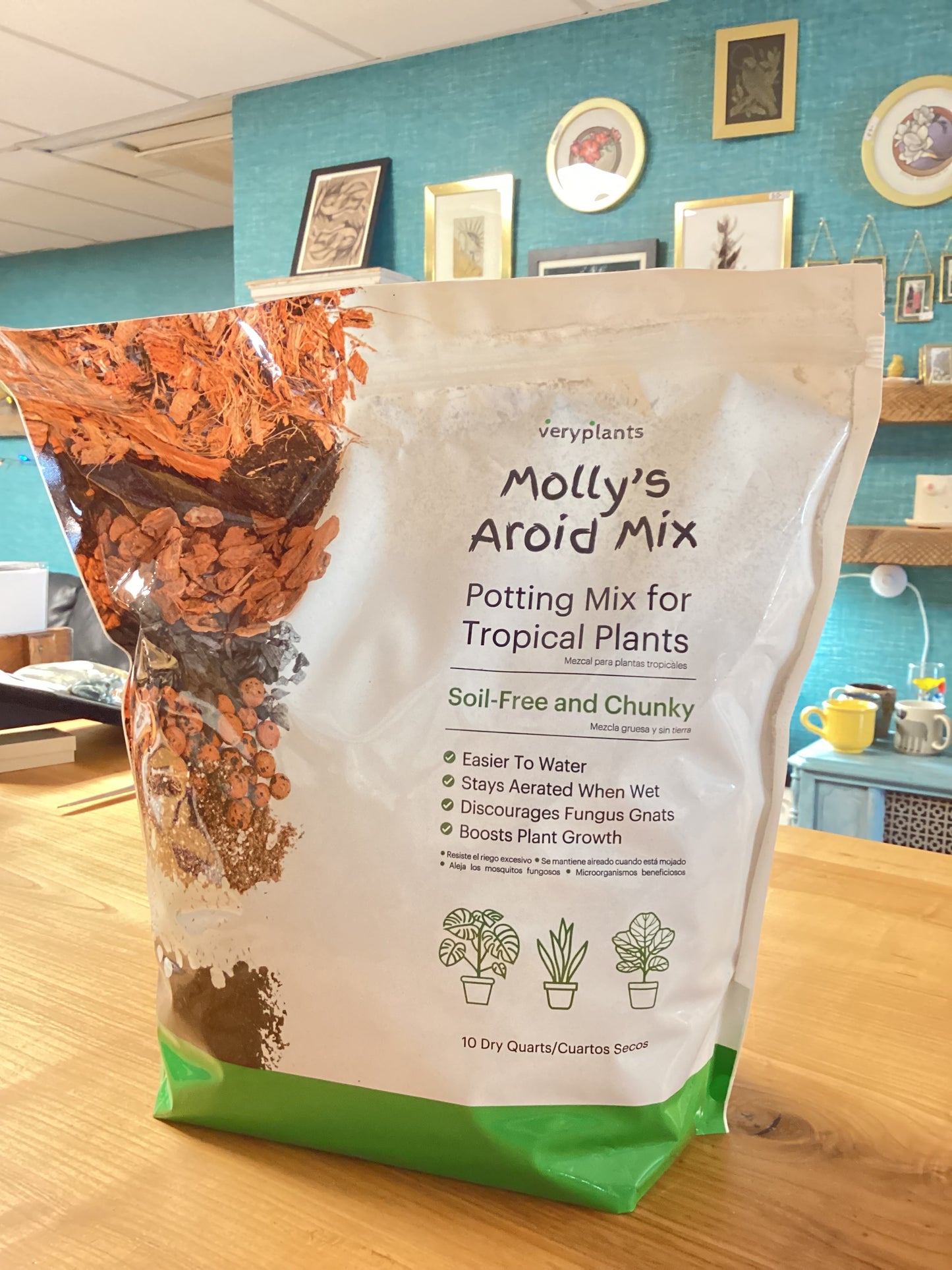 Mollys aroid mix