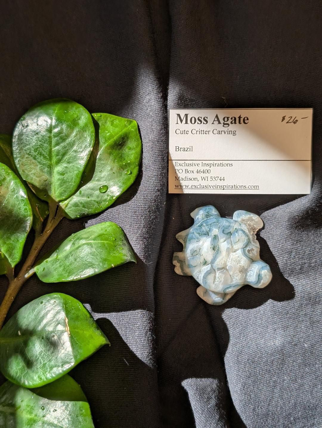 Moss Agate Turtle