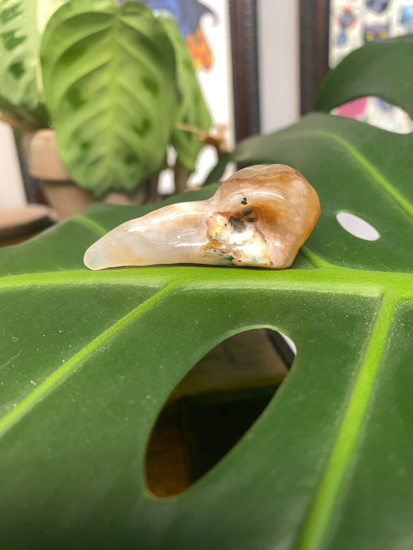 Flower agate