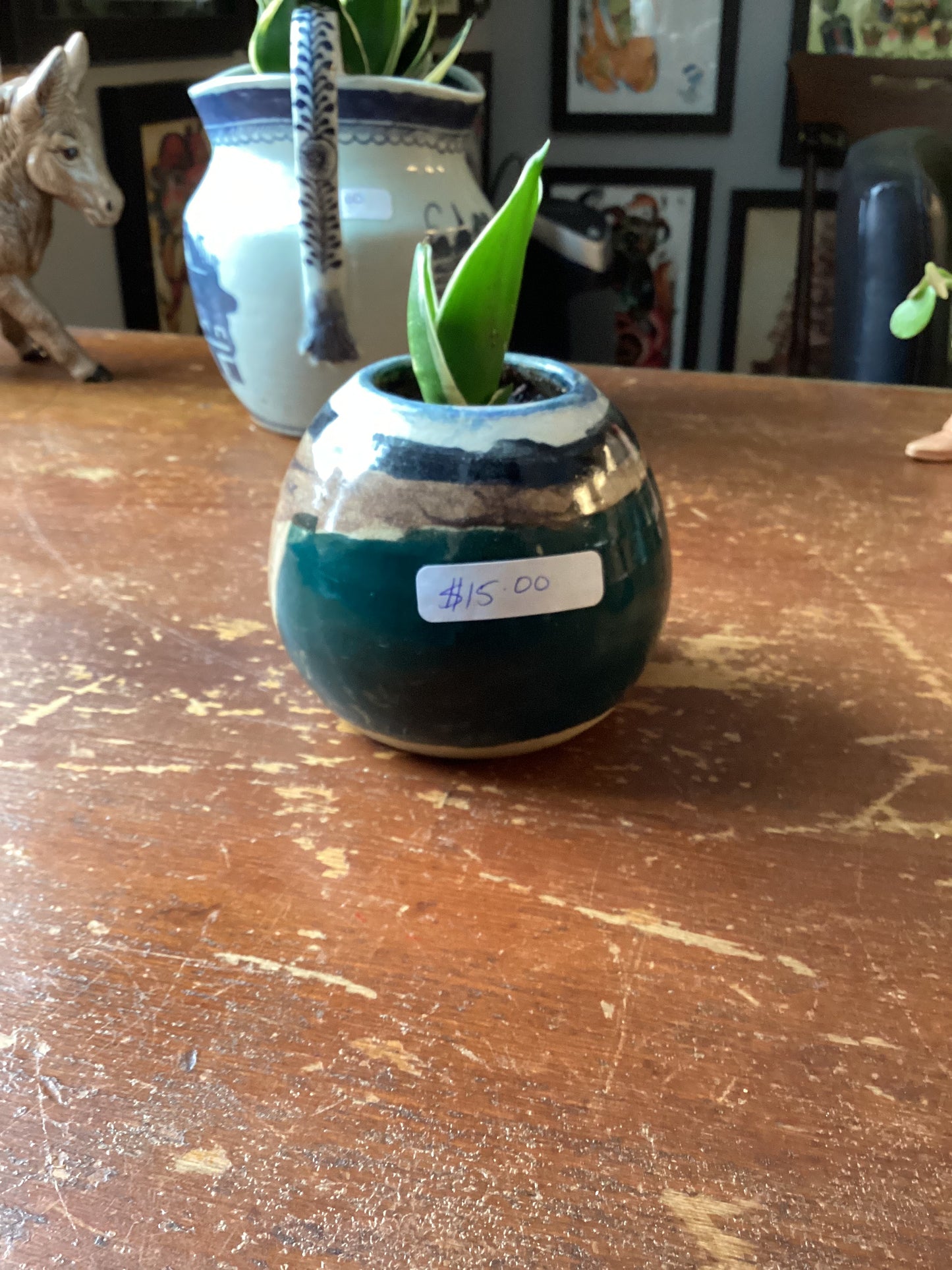 Jade planter 002