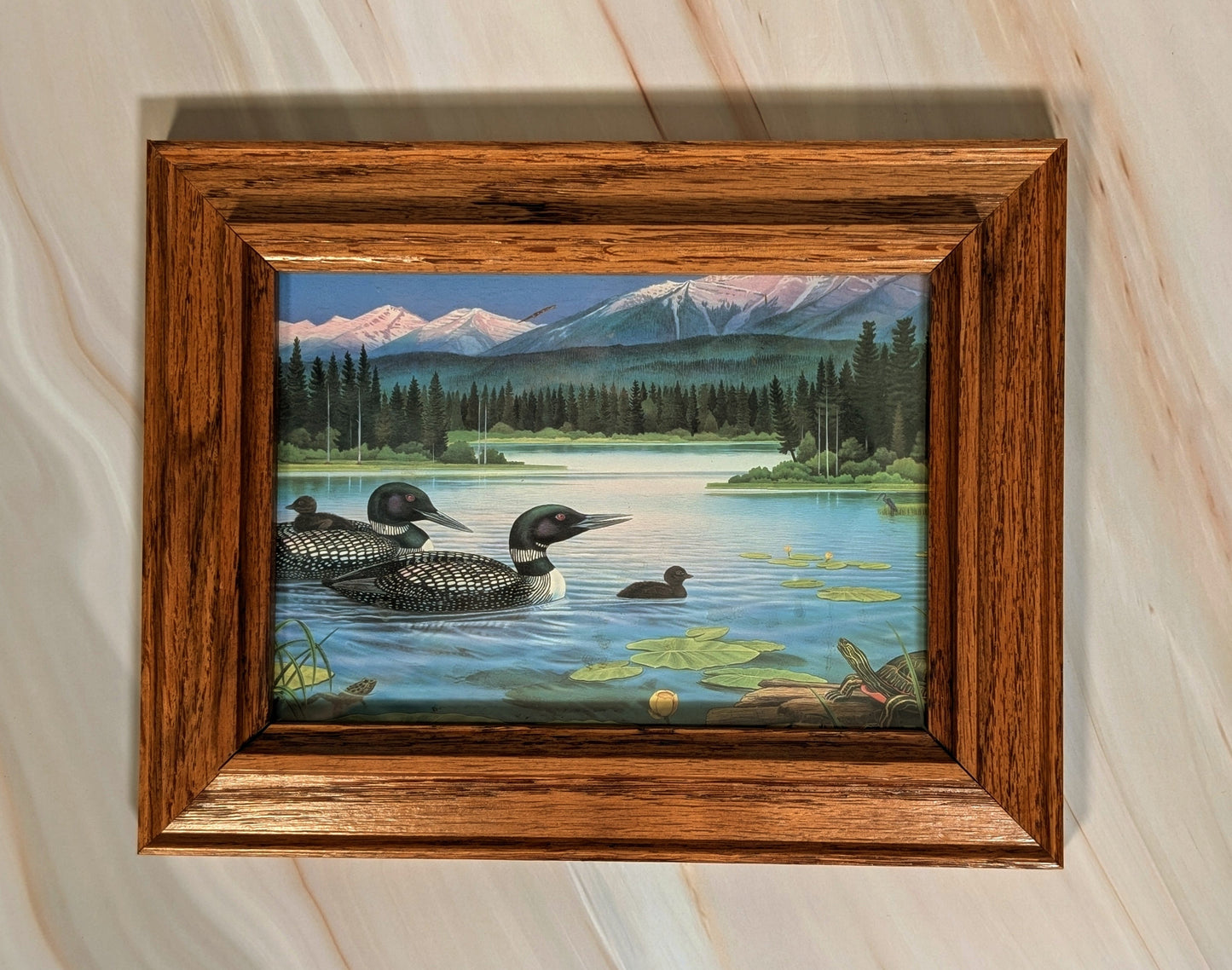 Loon Scene