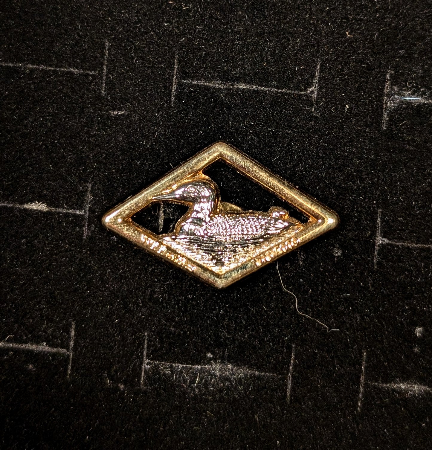 Vintage Loon pin