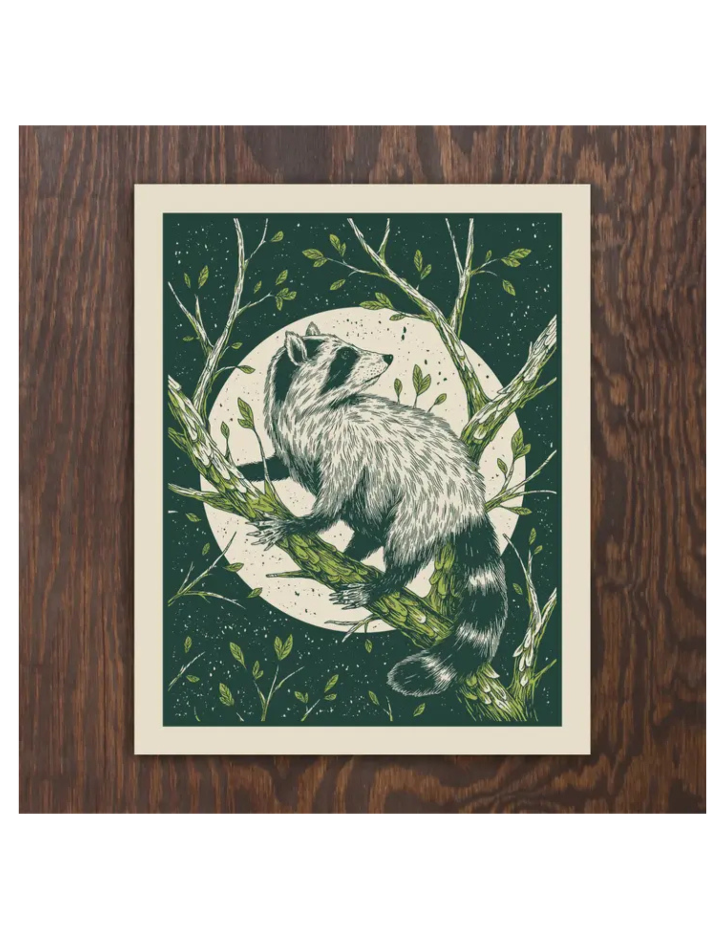 Raccoon Print