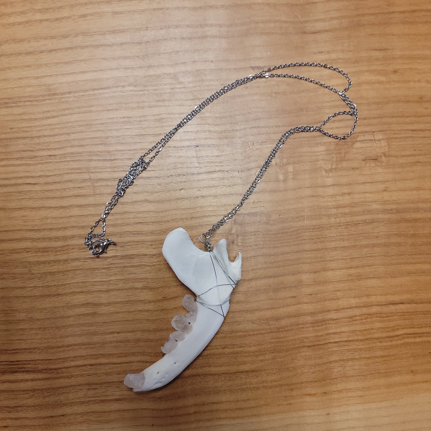 Copy of Raccoon Jawbone Necklace (quartz teeth)