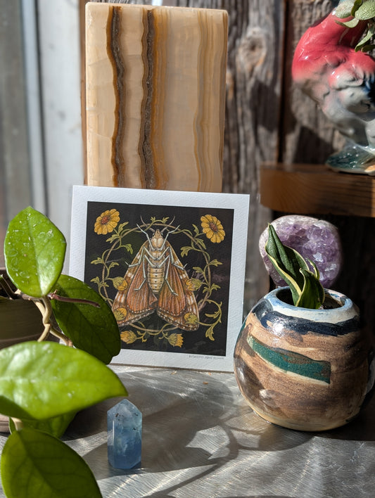 Moth print MB02