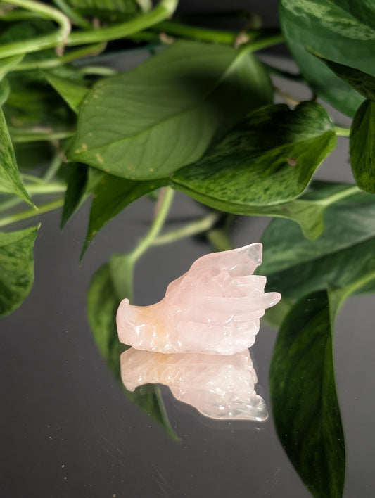 Rose Quartz dragon head