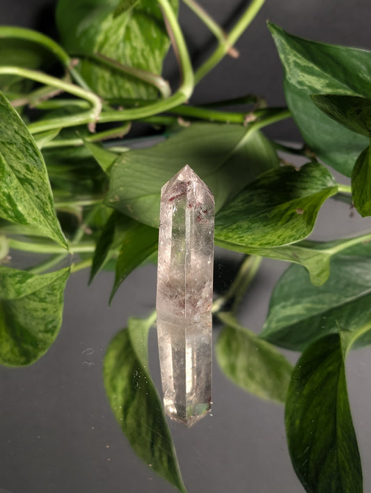 Lodolite in quartz