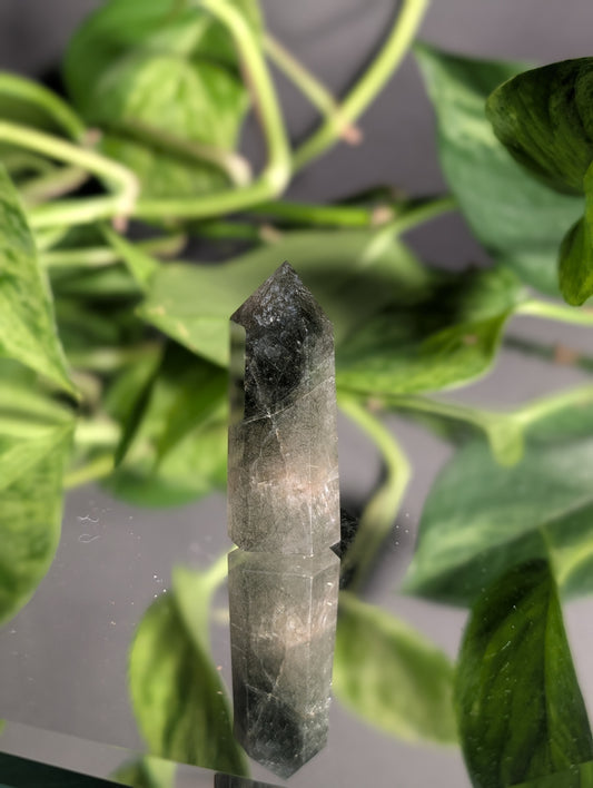 Lodolite in Quartz