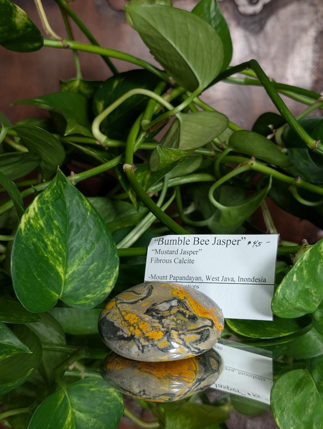 Bumblebee Jasper Large Worry Stone