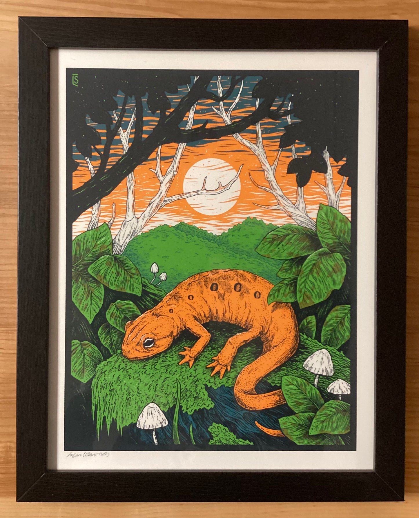 Framed Red Eft Sunset Print by Logan Schmitt