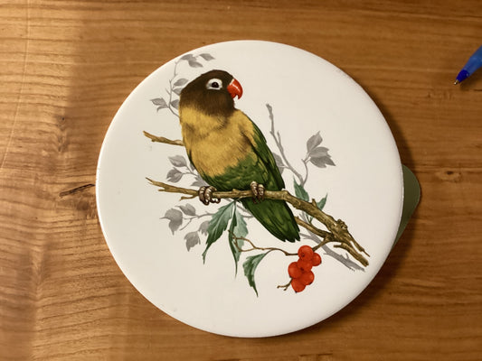KTC124 parrot trivet