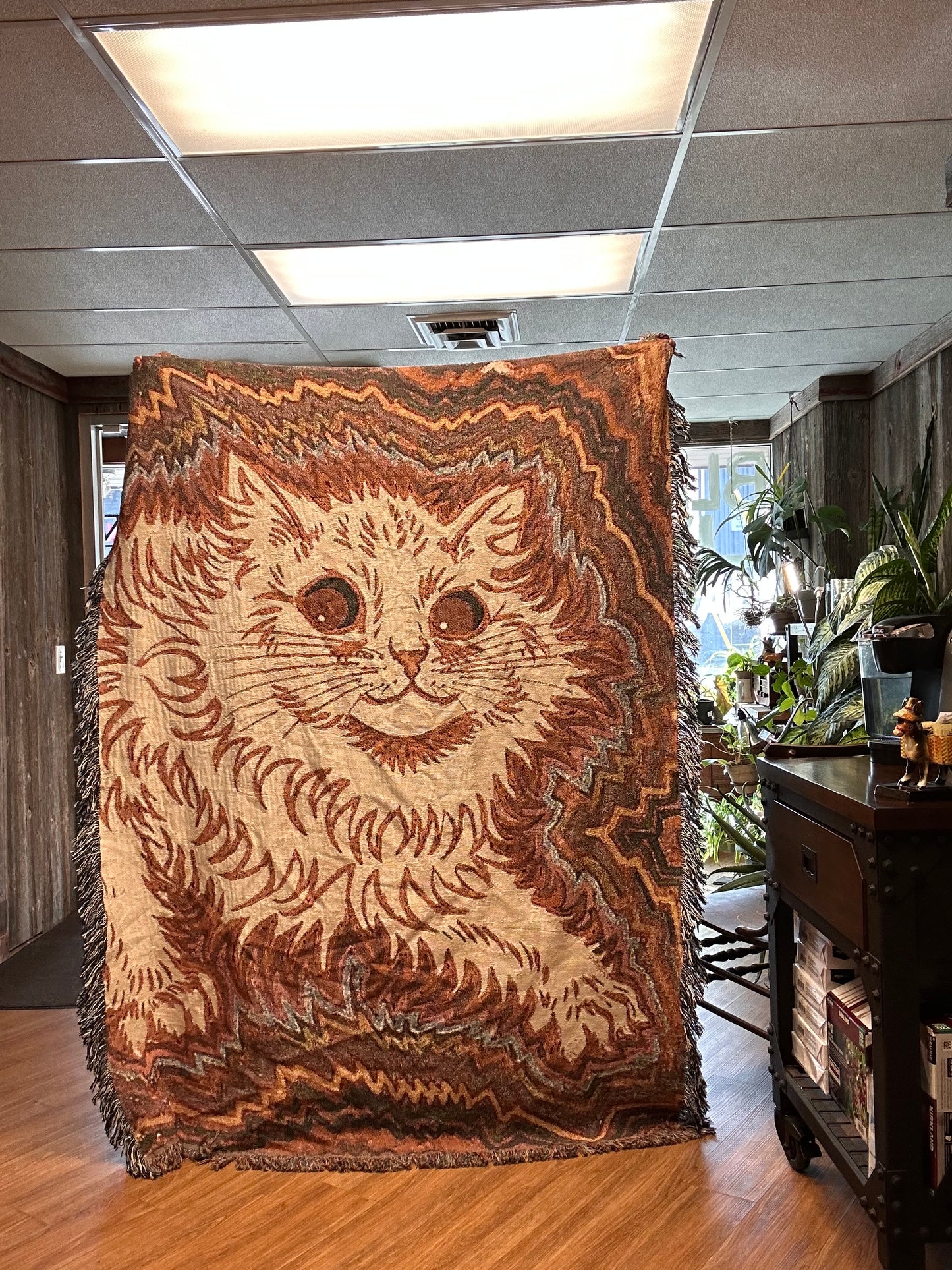 Kitty blanket