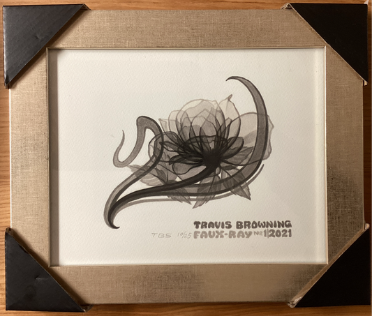 X-Ray Rose Print Framed