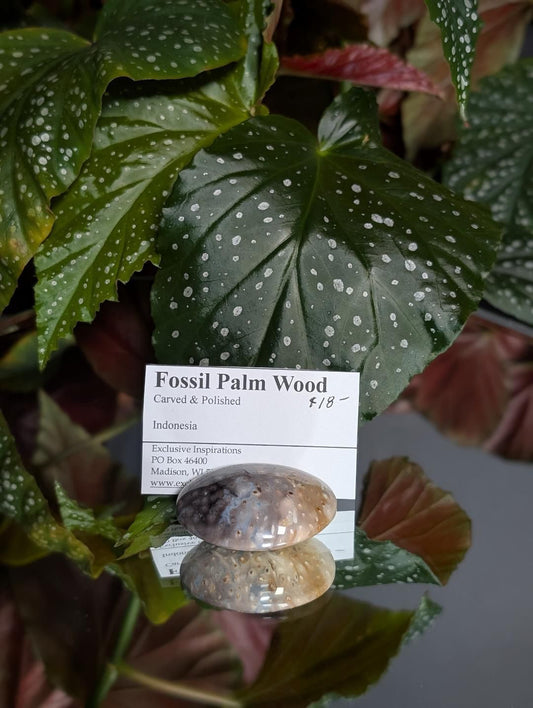 Fossilized wood