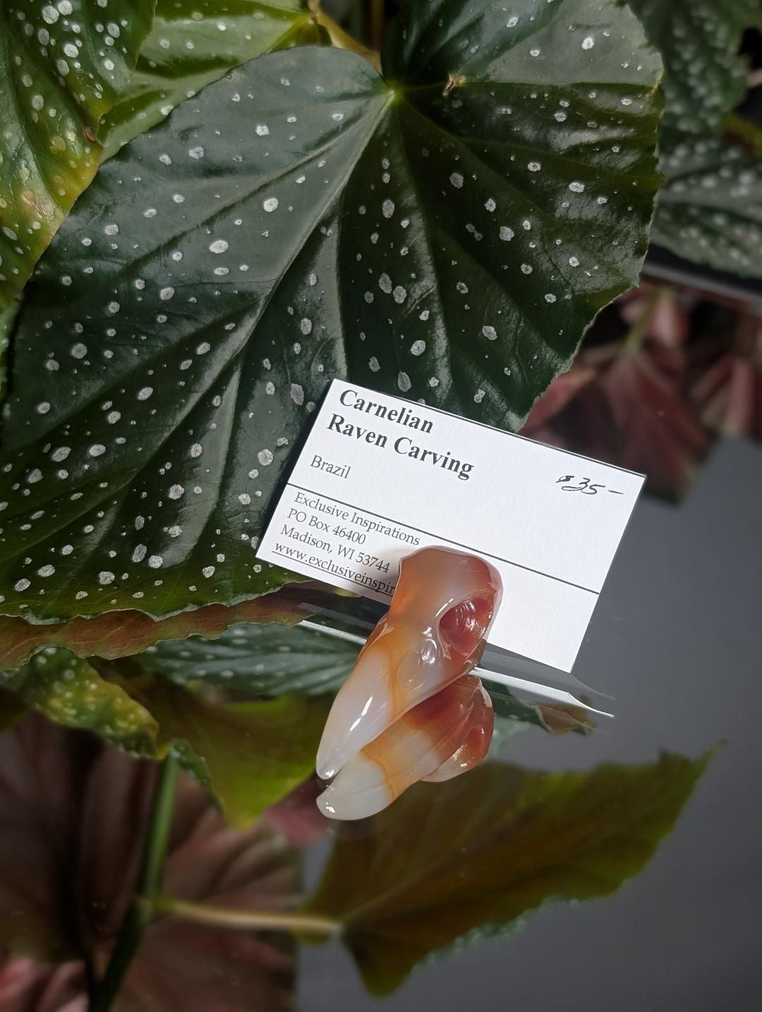 Carnelian Raven skull