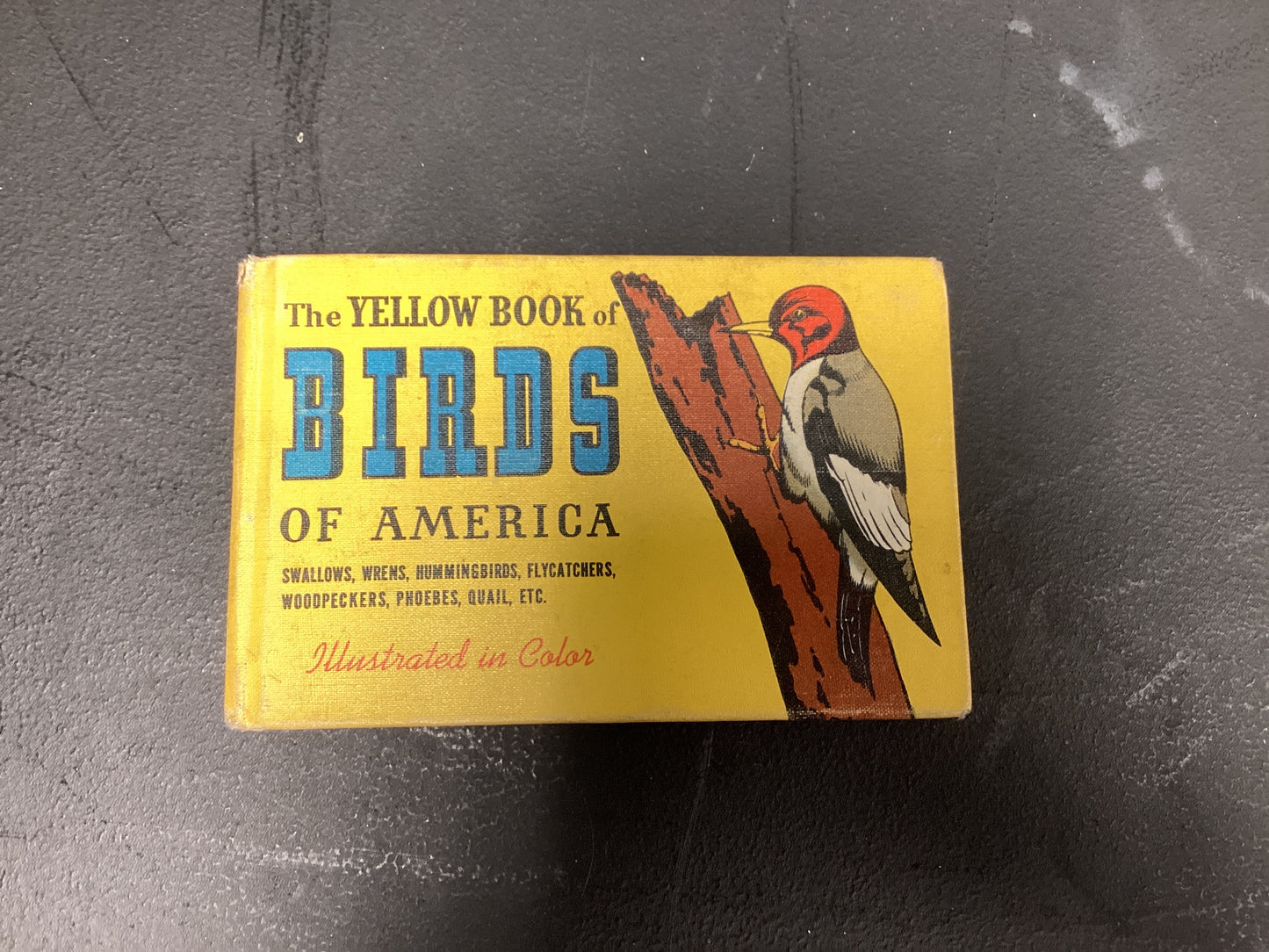 BKS102 Yellow Book of Birds