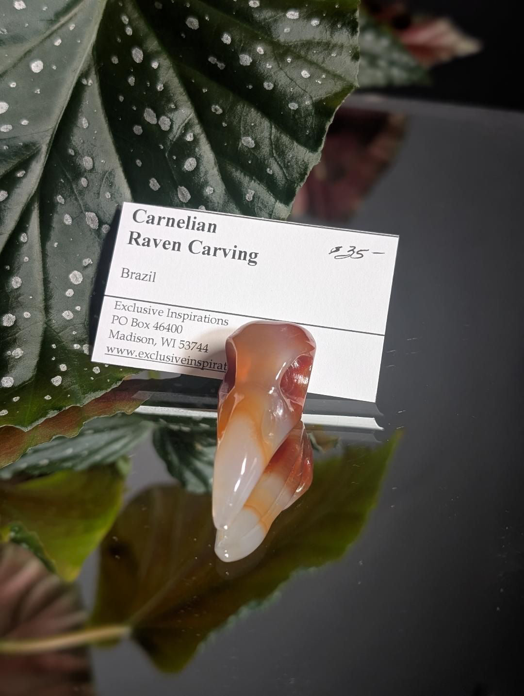 Carnelian Raven skull