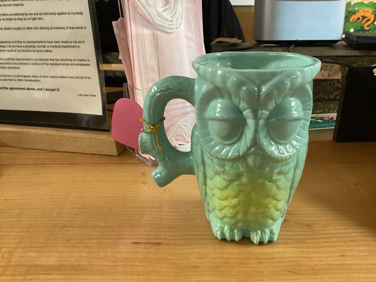 KTC111 Green Owl Mug