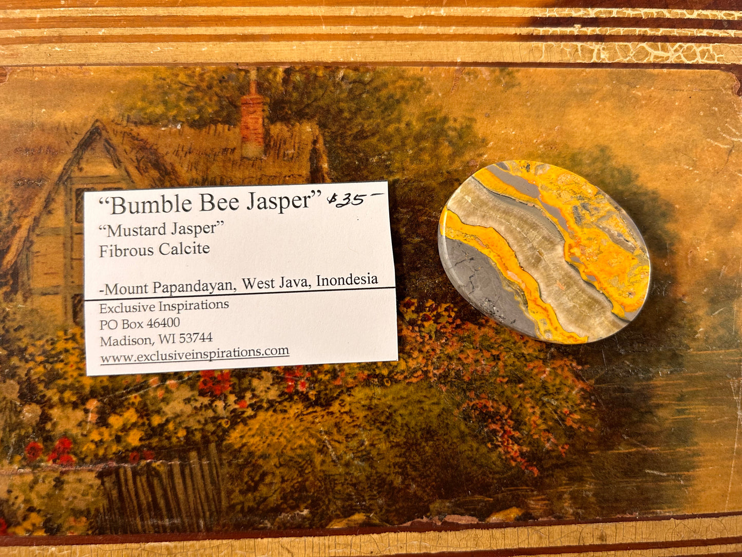 Bumble Bee Jasper