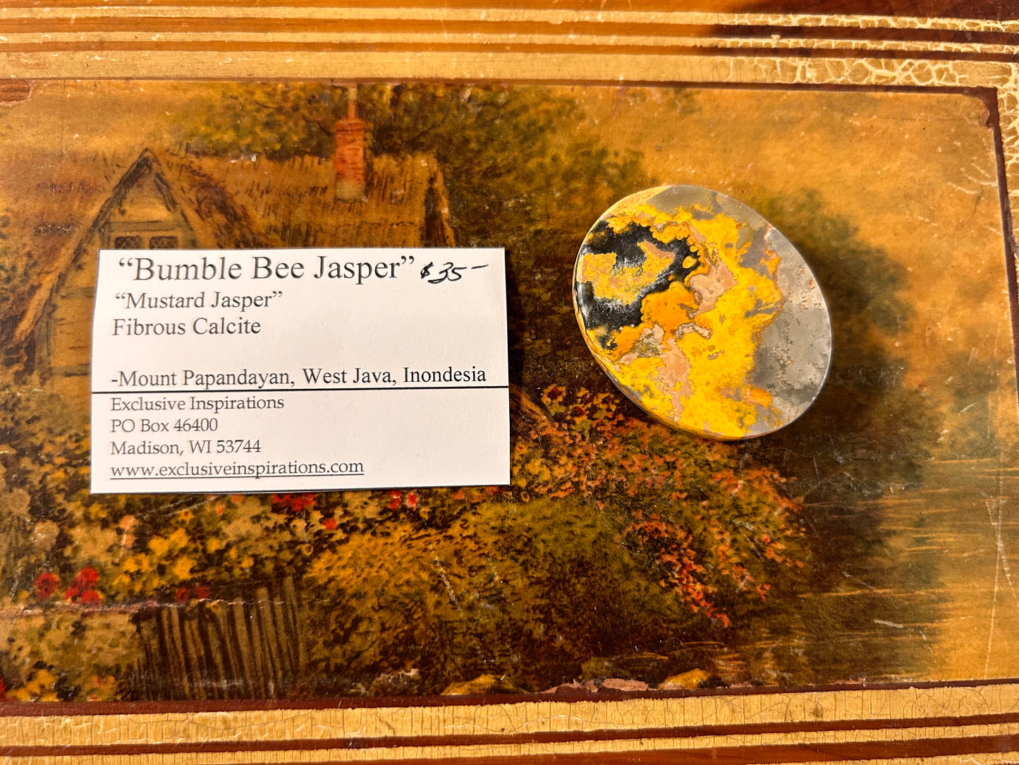 Bumble Bee Jasper