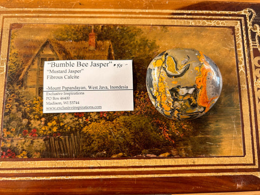 Bumble bee Jasper