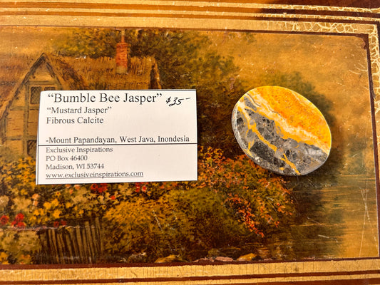 Bumble Bee Jasper