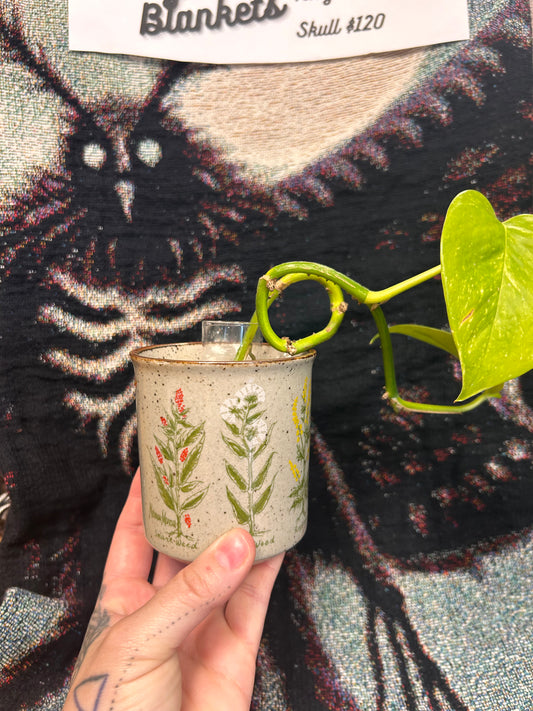 Pothos cutting and and fun mug