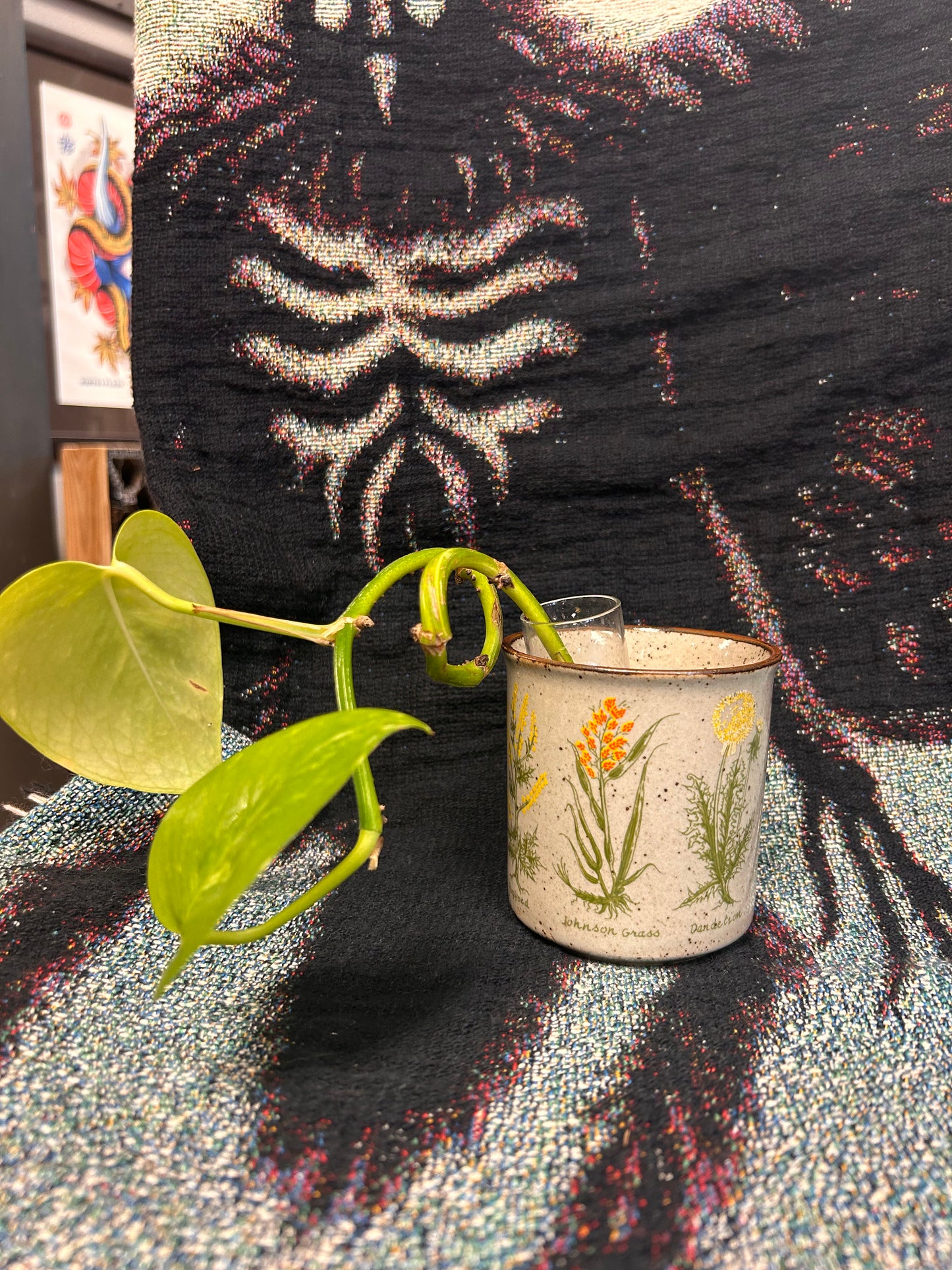 Pothos cutting and and fun mug