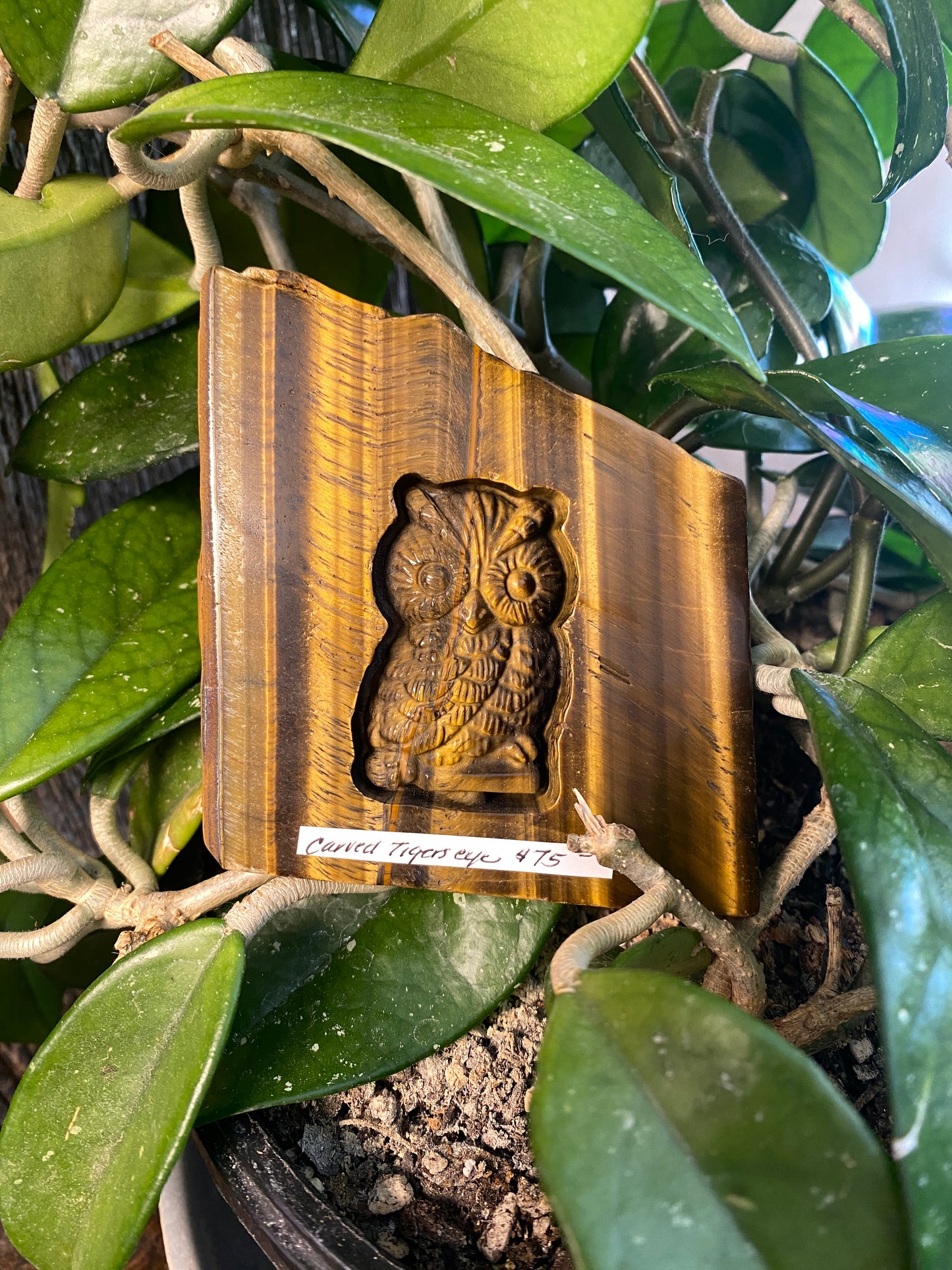 Carved Tigers Eye Owl