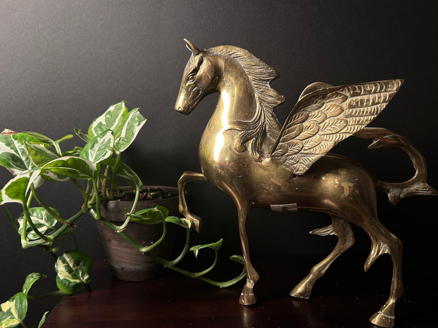 Brass Pegasus