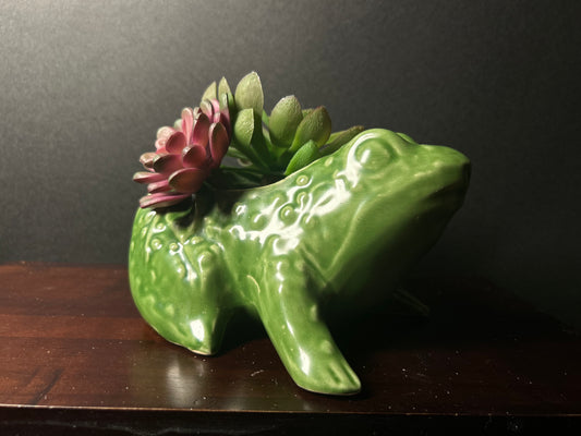 Green frog planter