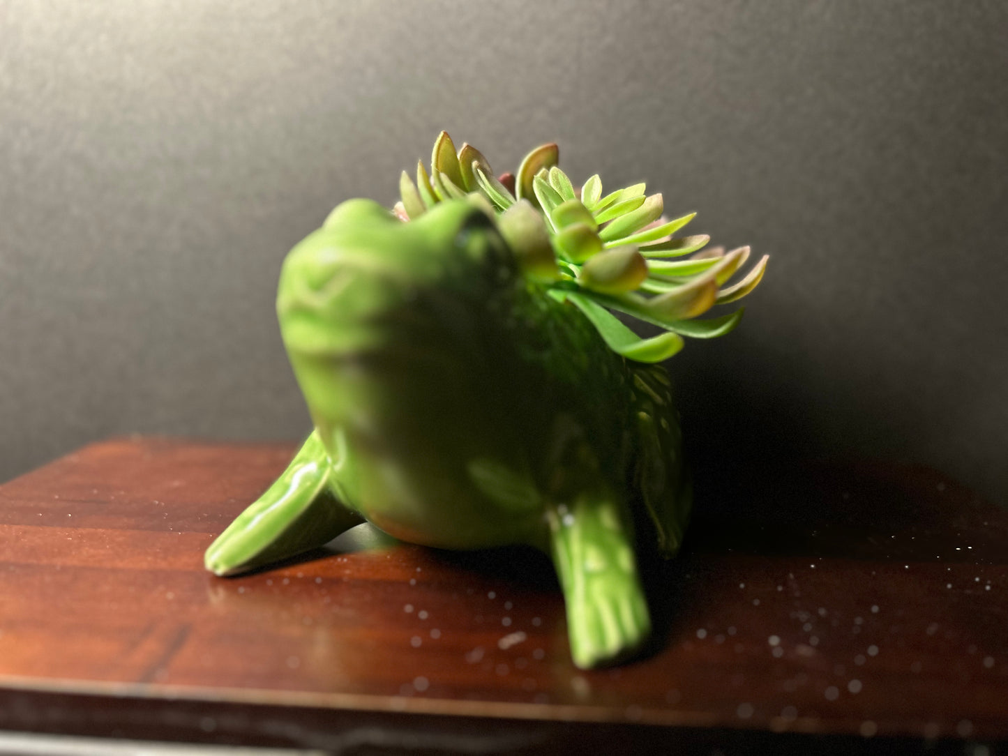 Green frog planter