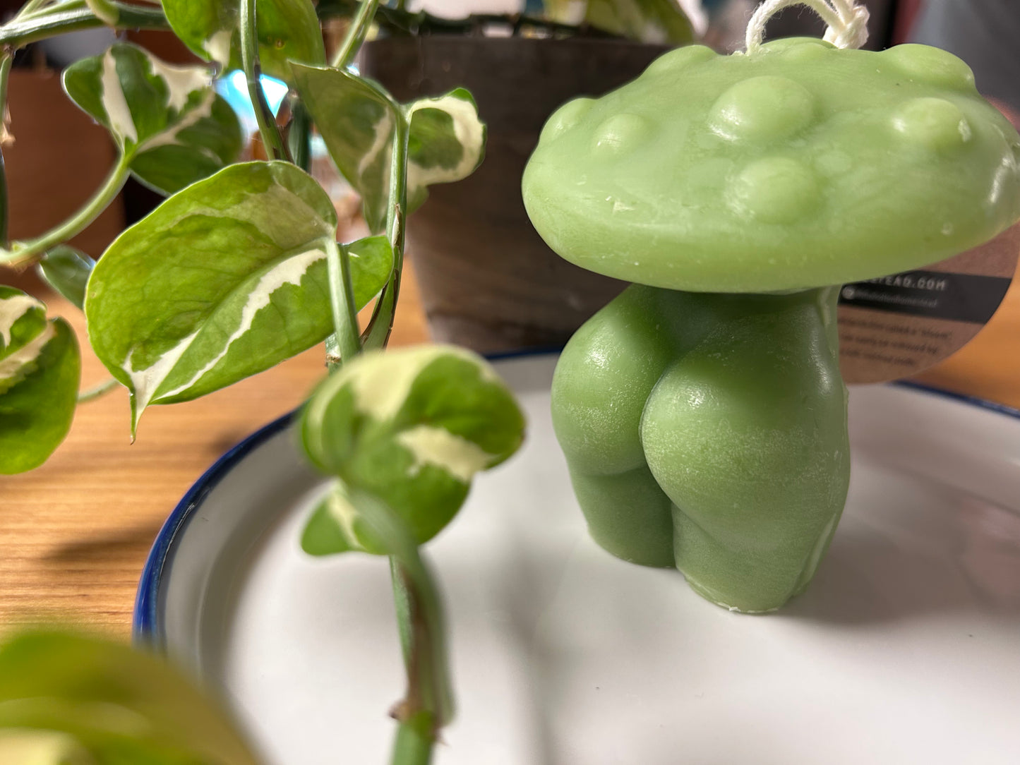 Beeswax mushroom candle