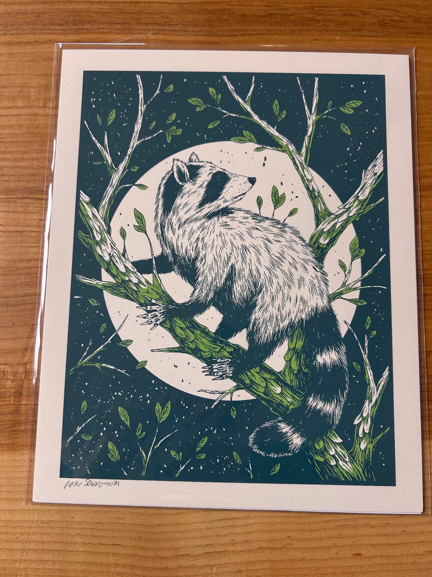 Raccoon print 8”x10