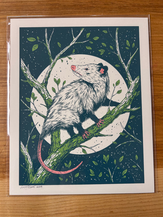 Opossum print 8”x10