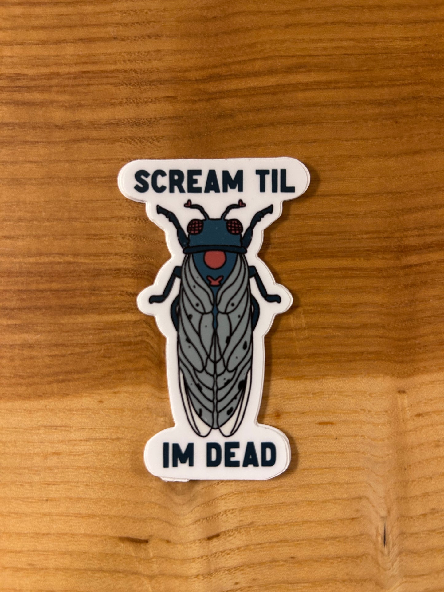 Scream cicada sticker