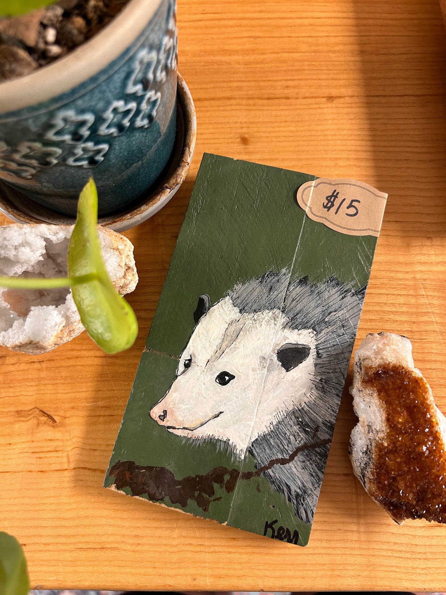 Opossum painting