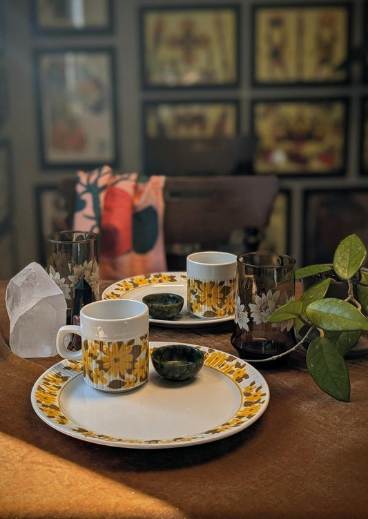 KTC109 Mikasa Terra stone plates and mugs (set of 4)