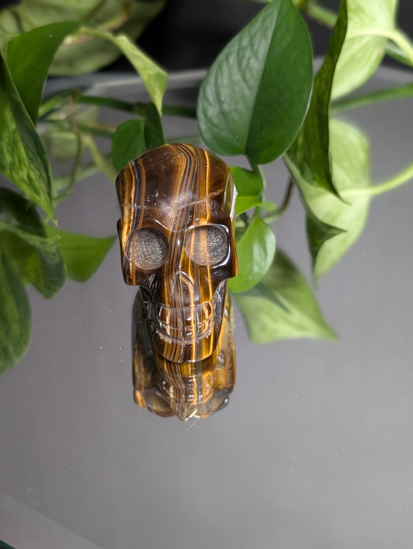 Tigers Eye Skull