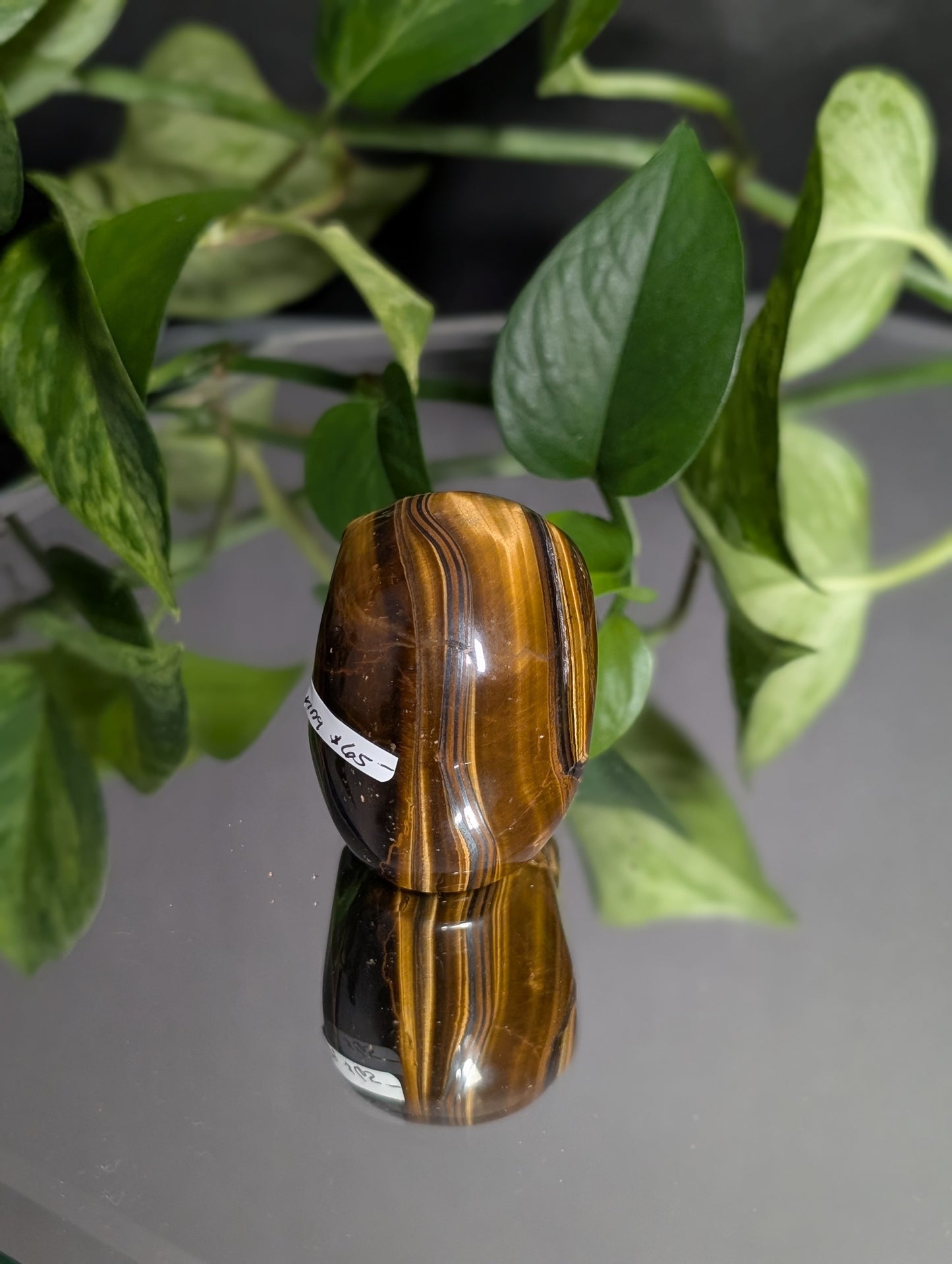 Tigers Eye Skull