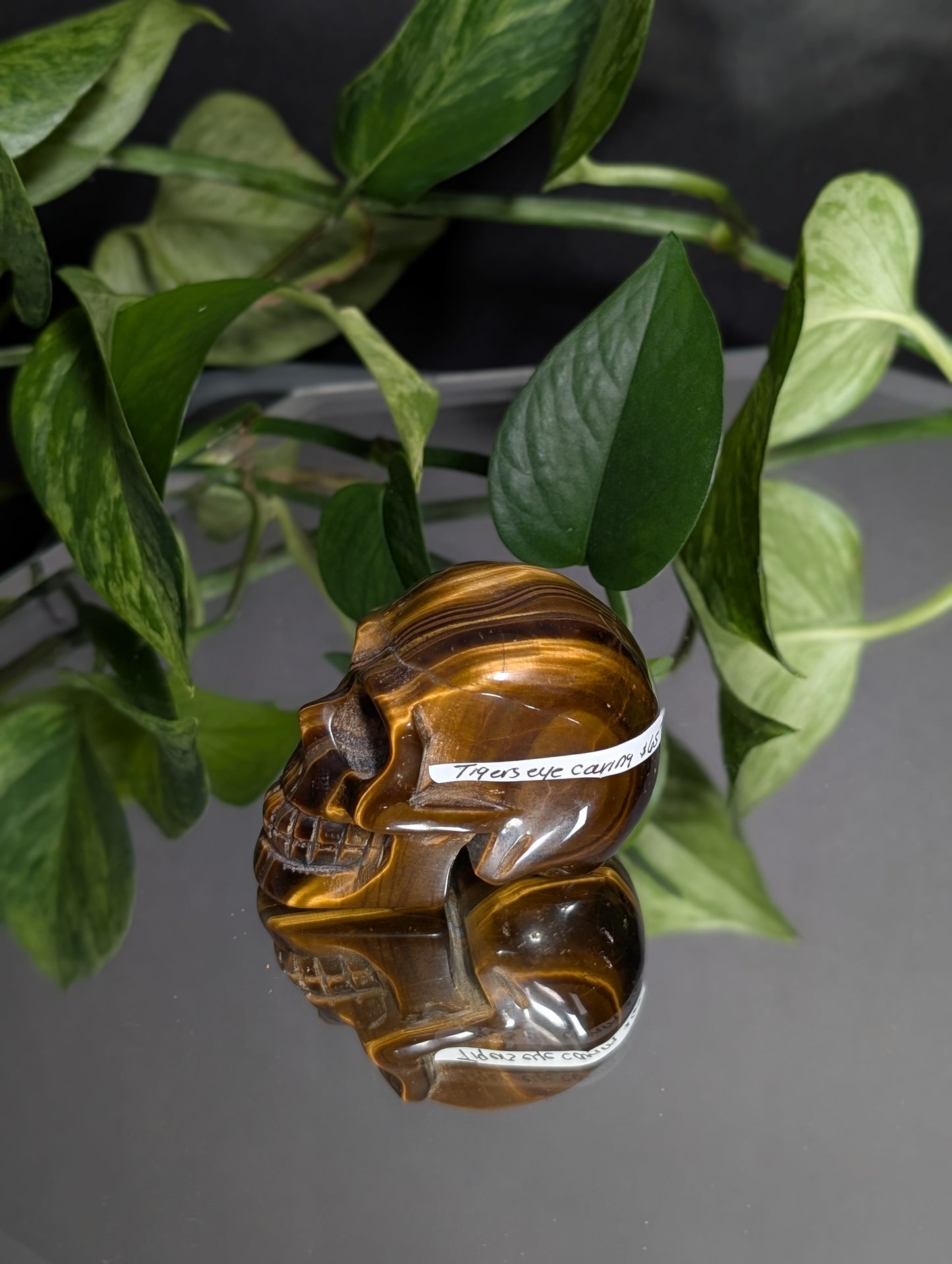 Tigers Eye Skull