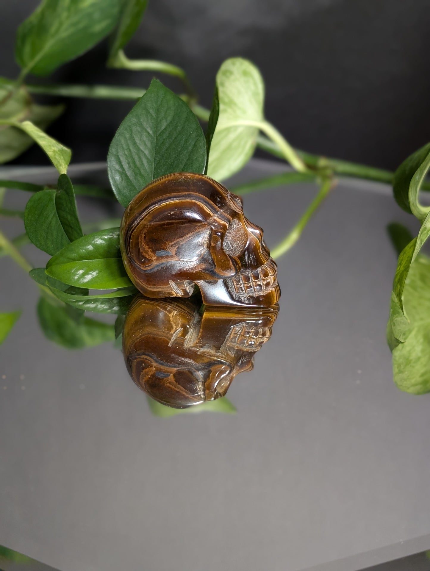 Tigers Eye Skull