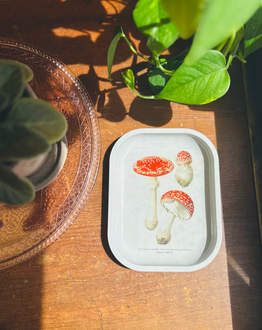 Tin tray (mushroom)