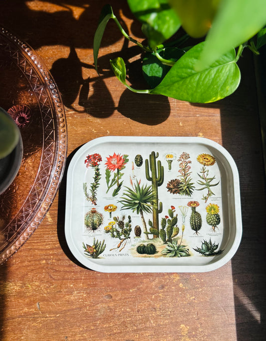 Tin tray (cactus)
