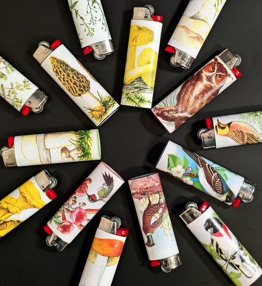 Vintage 1950 encyclopedia paper lighters