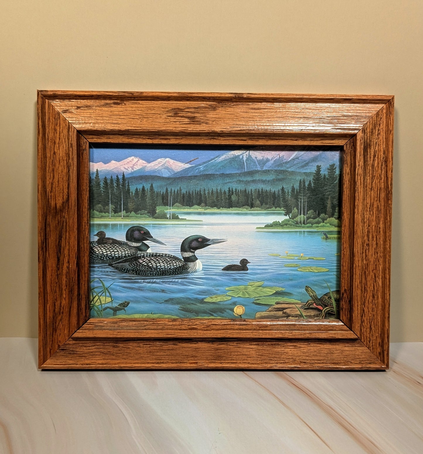 Loon Scene