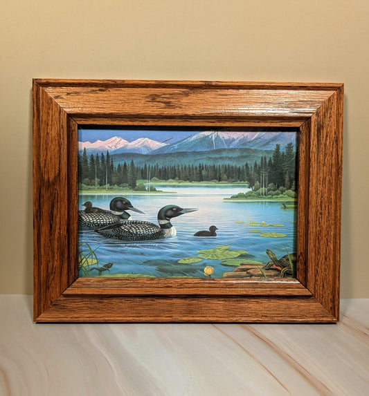 Loon Scene